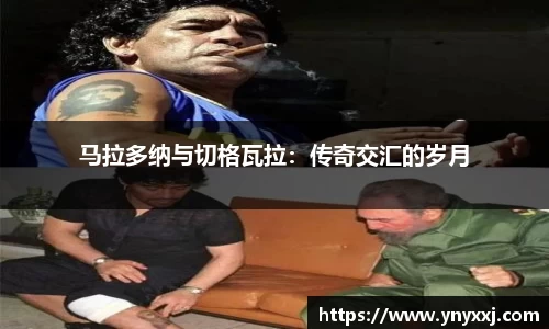 yy易游体育