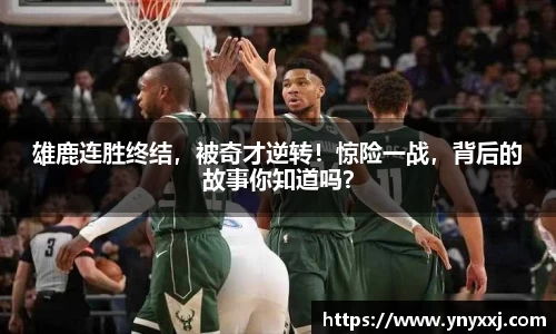 yy易游体育
