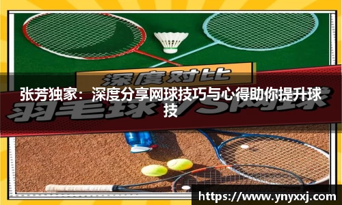 yy易游
