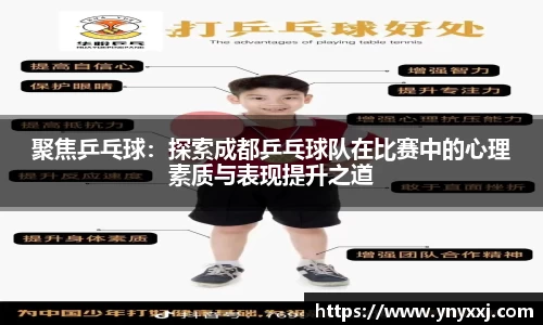 yy体育