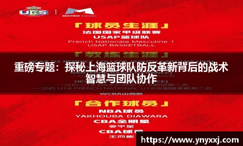 yy体育