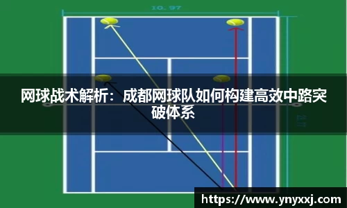 yy体育