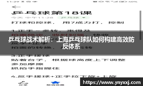 yy易游体育