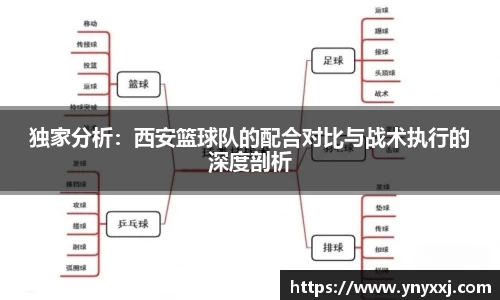 yy体育