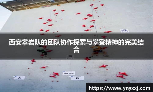 yy易游体育
