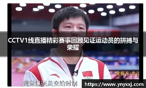 yy易游