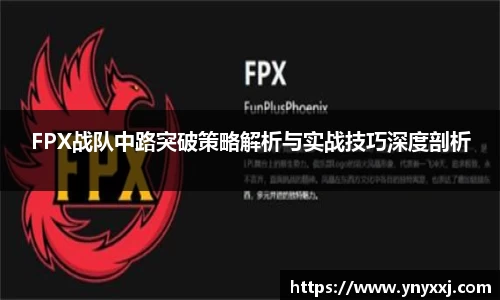 yy体育