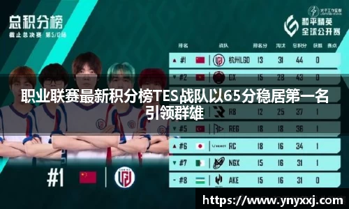 yy体育