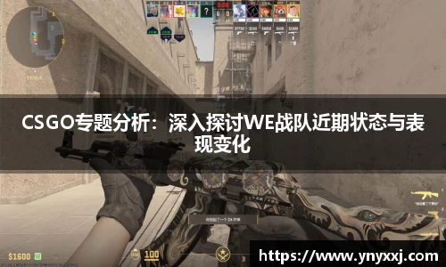 yy体育