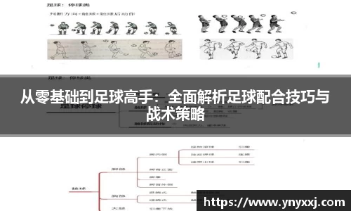 yy体育