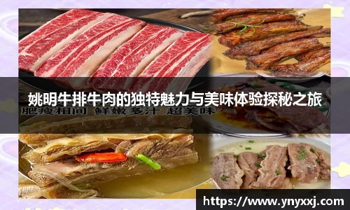 yy易游