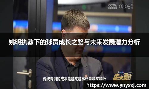 yy易游