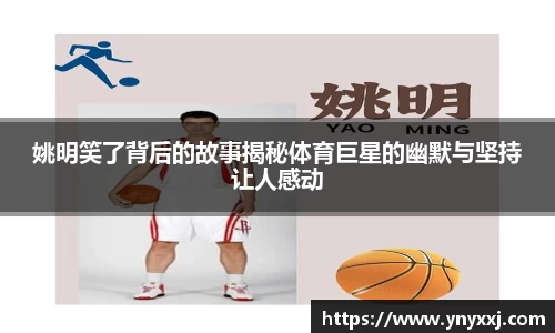 yy体育