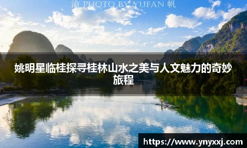 yy易游体育