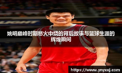 yy体育