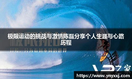 yy体育