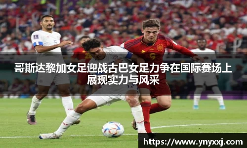 yy体育