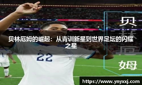 yy体育