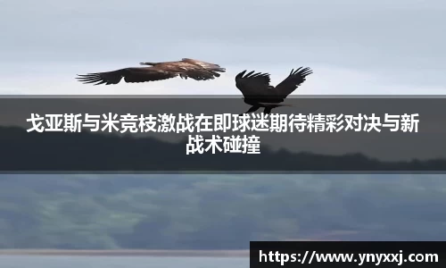yy易游