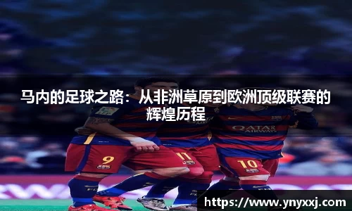 yy易游体育