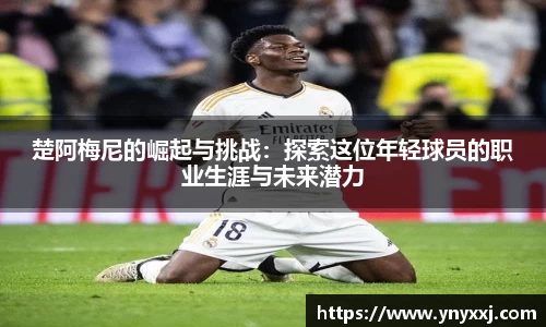 yy体育