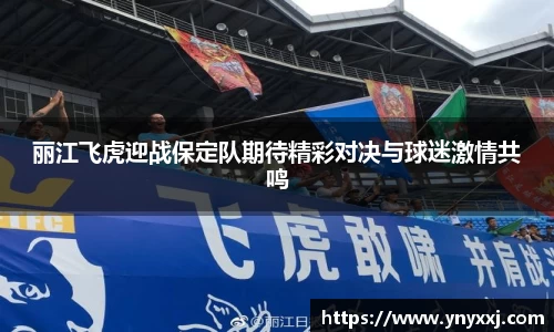yy易游