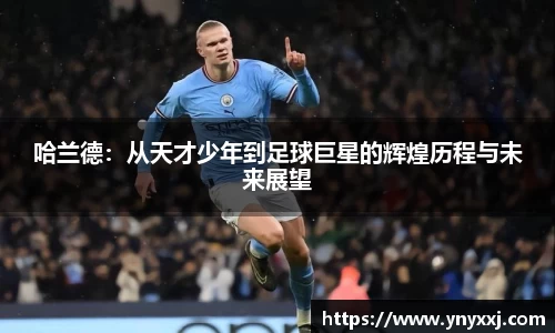 yy易游体育