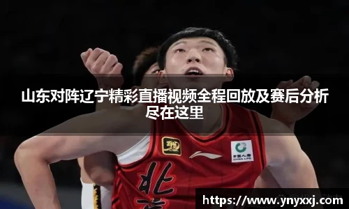 yy体育