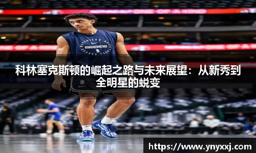 yy易游