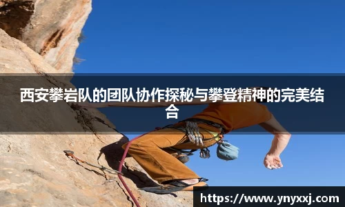 yy易游体育