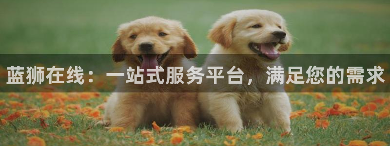 壹号娱乐体育在线注册：蓝狮在线：一站式服务平台，满足您的需求