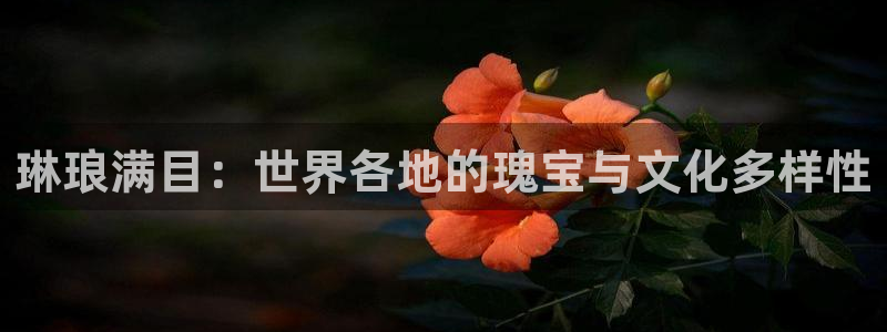 壹号娱乐登陆：琳琅满目：世界各地的瑰宝与文化多样性