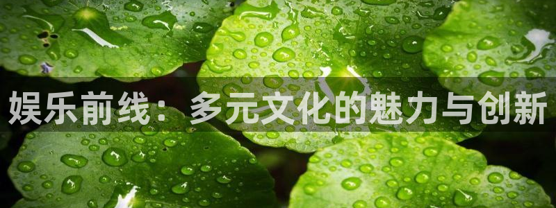 壹号娱乐4代理：娱乐前线：多元文化的魅力与创新