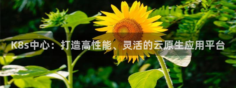 壹号娱乐环保：K8s中心：打造高性能、灵活的云原生应用平台