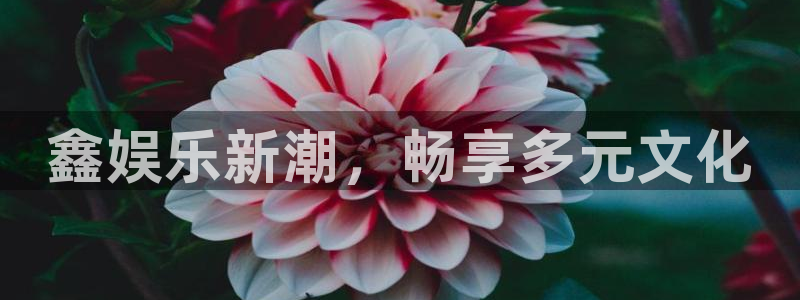 壹号娱乐平台开户：鑫娱乐新潮，畅享多元文化