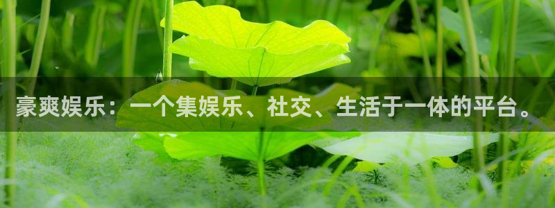 壹号娱乐平台官网：豪爽娱乐：一个集娱乐、社交、生活于一体的平台。