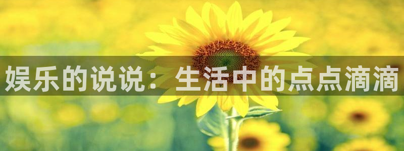 上海壹号娱乐汽车电子有限公司