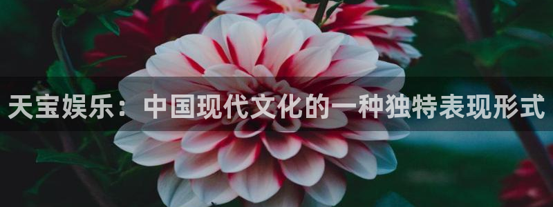 壹号娱乐平台主管：天宝娱乐：中国现代文化的一种独特表现形式