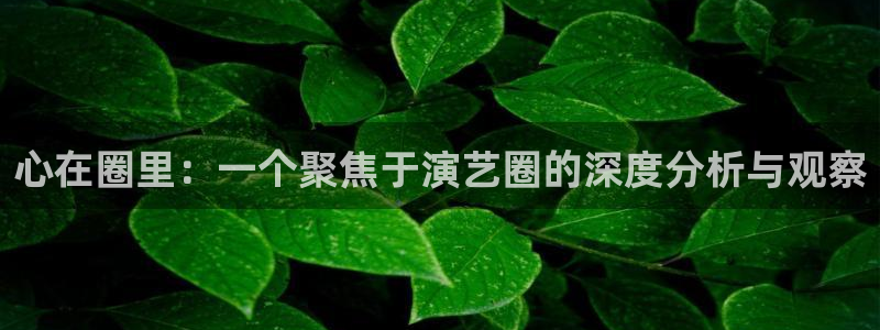 壹号娱乐体育3：心在圈里：一个聚焦于演艺圈的深度分析与观察