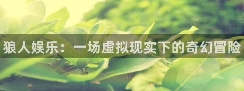 壹号娱乐现在优惠多少：狼人娱乐：一场虚拟现实下的奇幻冒险
