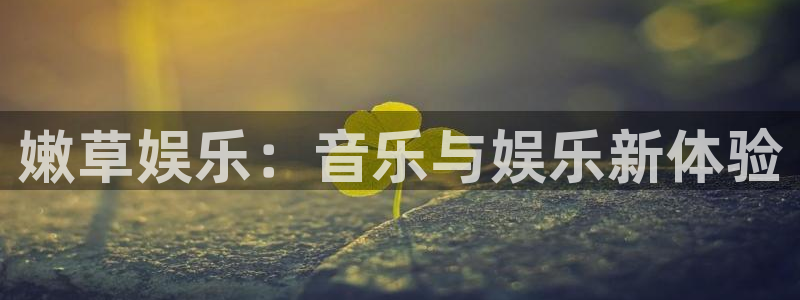 上海壹号娱乐汽车电子有限公司：嫩草娱乐：音乐与娱乐新体验
