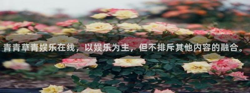 壹号娱乐集团股票：青青草青娱乐在线，以娱乐为主，但不排斥其他内容的融合。