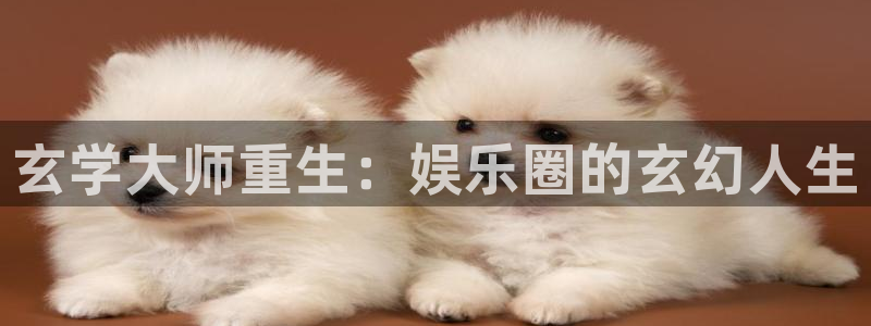壹号娱乐体育3：玄学大师重生：娱乐圈的玄幻人生