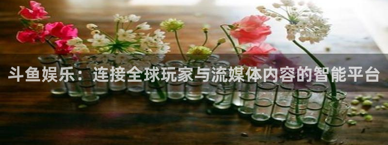 壹号娱乐体育凯捷登陆：斗鱼娱乐：连接全球玩家与流媒体内容的智能平台
