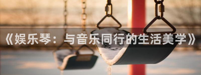 壹号娱乐零能源集团：《娱乐琴：与音乐同行的生活美学》