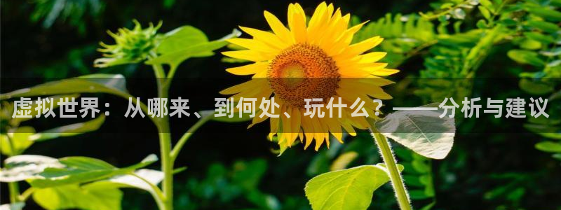 壹号娱乐招商：虚拟世界：从哪来、到何处、玩什么？——分析与建议