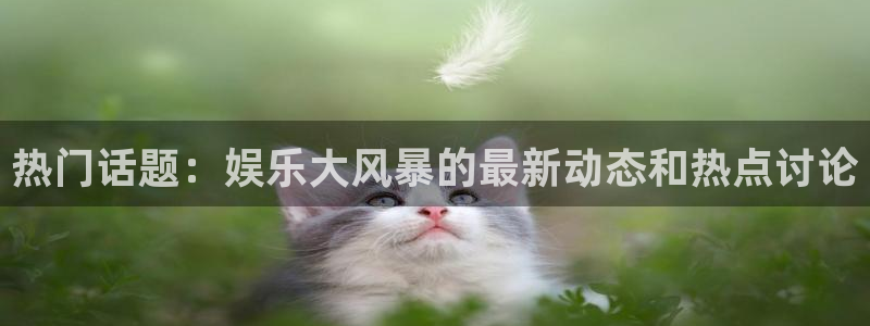 壹号娱乐电子有限公司
