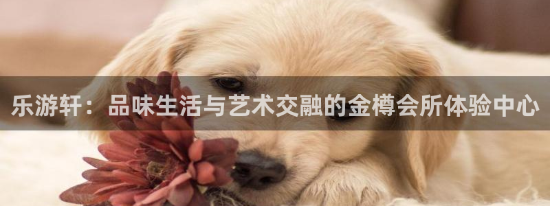 壹号娱乐体育平台开号链接：乐游轩：品味生活与艺术交融的金樽会所体验中心