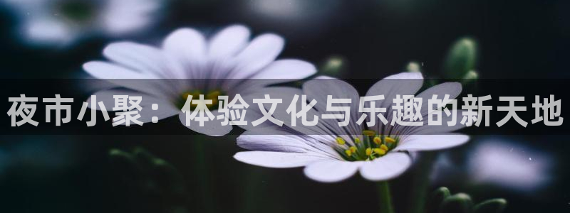 壹号娱乐体育凯捷平台招商：夜市小聚：体验文化与乐趣的新天地