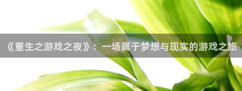 壹号娱乐体育官网登录：《重生之游戏之夜》：一场属于梦想与现实的游戏之旅